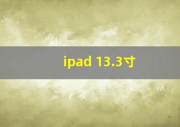 ipad 13.3寸